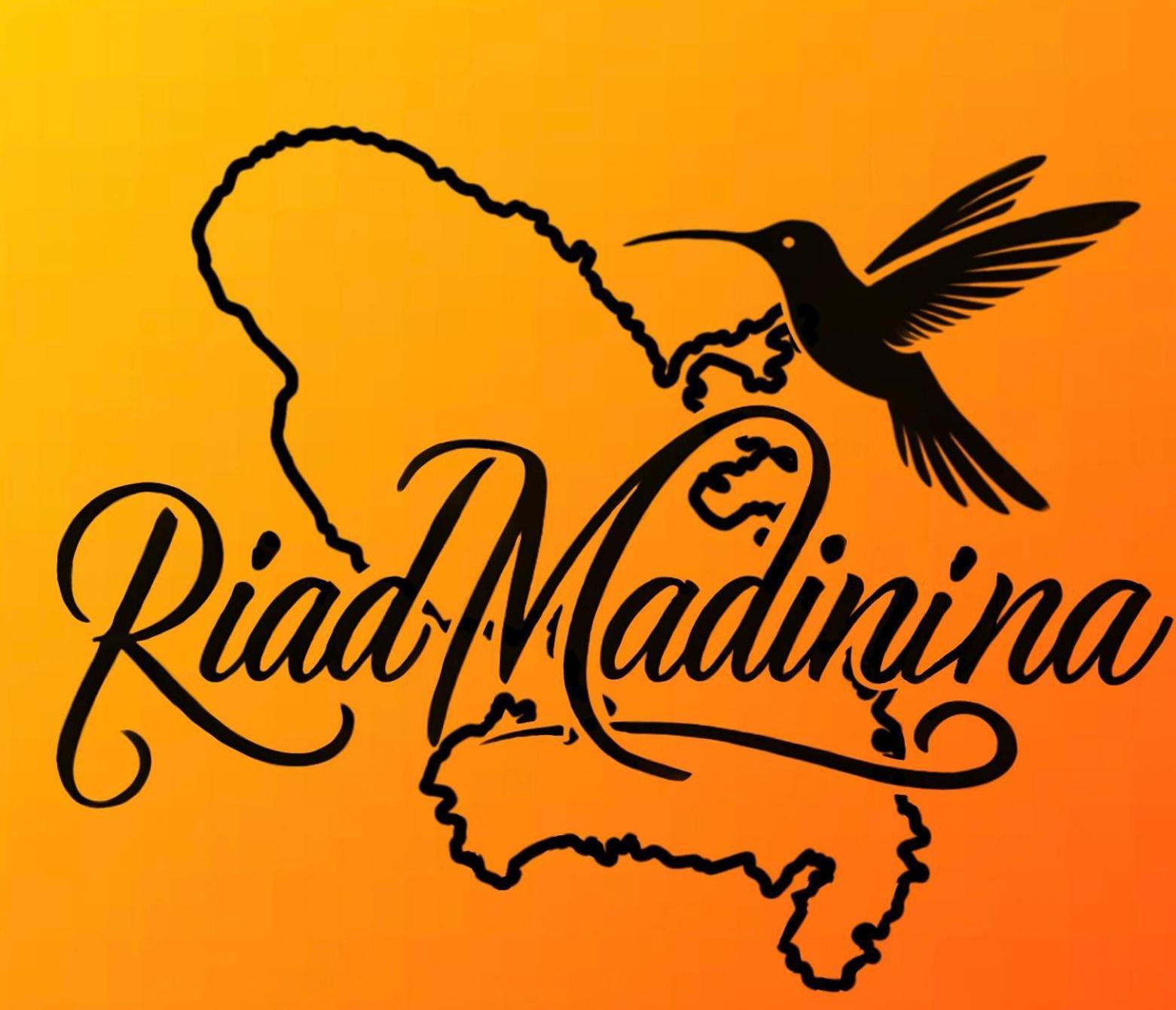 Riad Madinina Marrakesh Exterior photo
